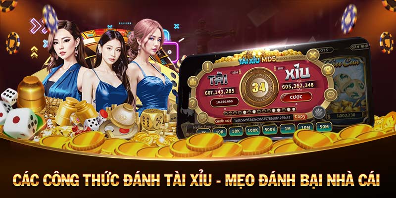 SKY88-Khám phá thế giới casino trực tuyến cùng chúng tôi!